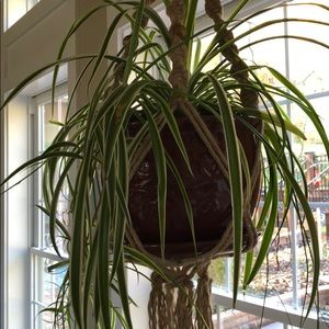 Meet your Posher, Rene